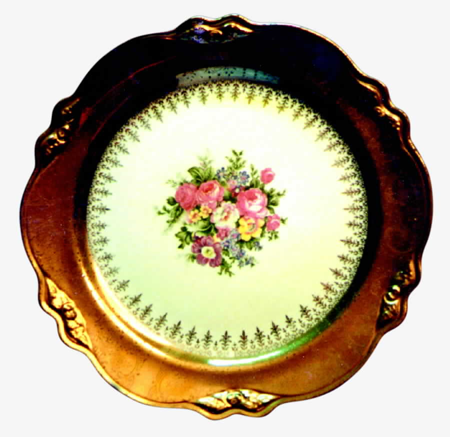 HLC607 Dinner Plate by Homer Laughlin -1