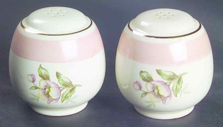 N1769 Salt & Pepper Set by Homer Laughlin -1
