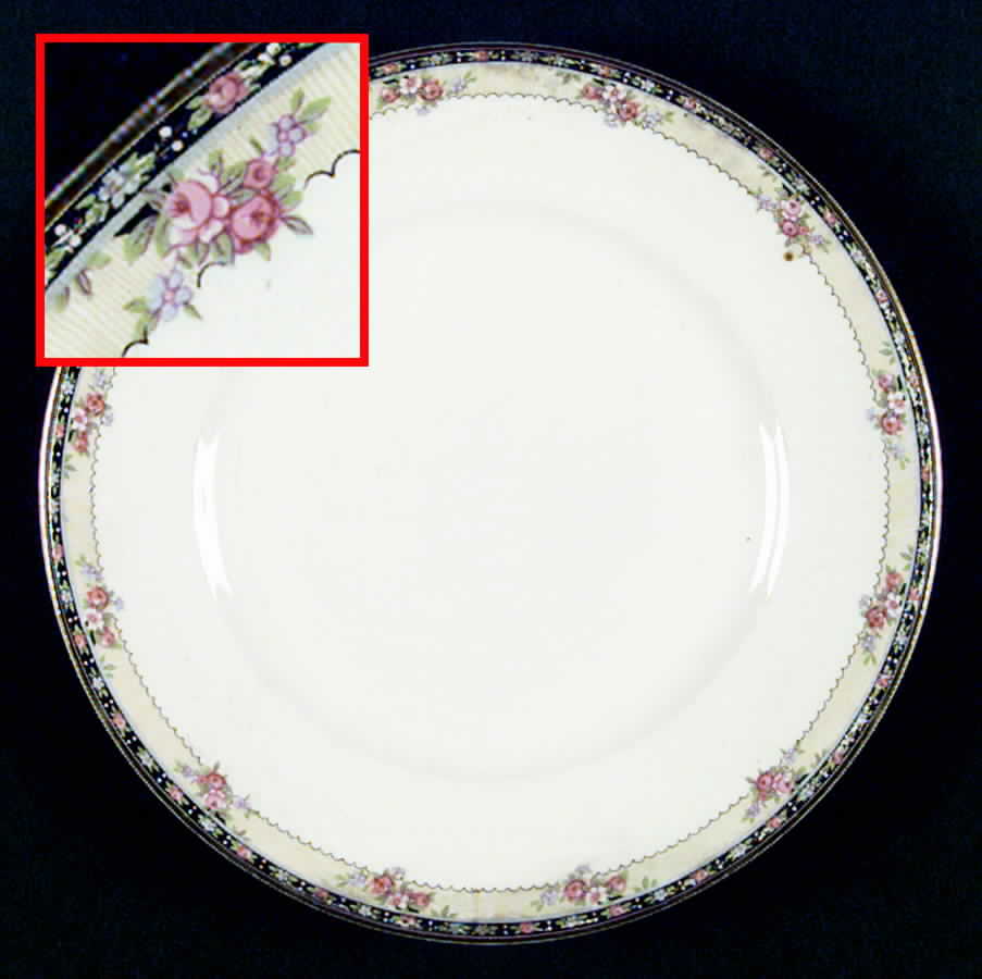 HLC614 Dinner Plate by Homer Laughlin -1