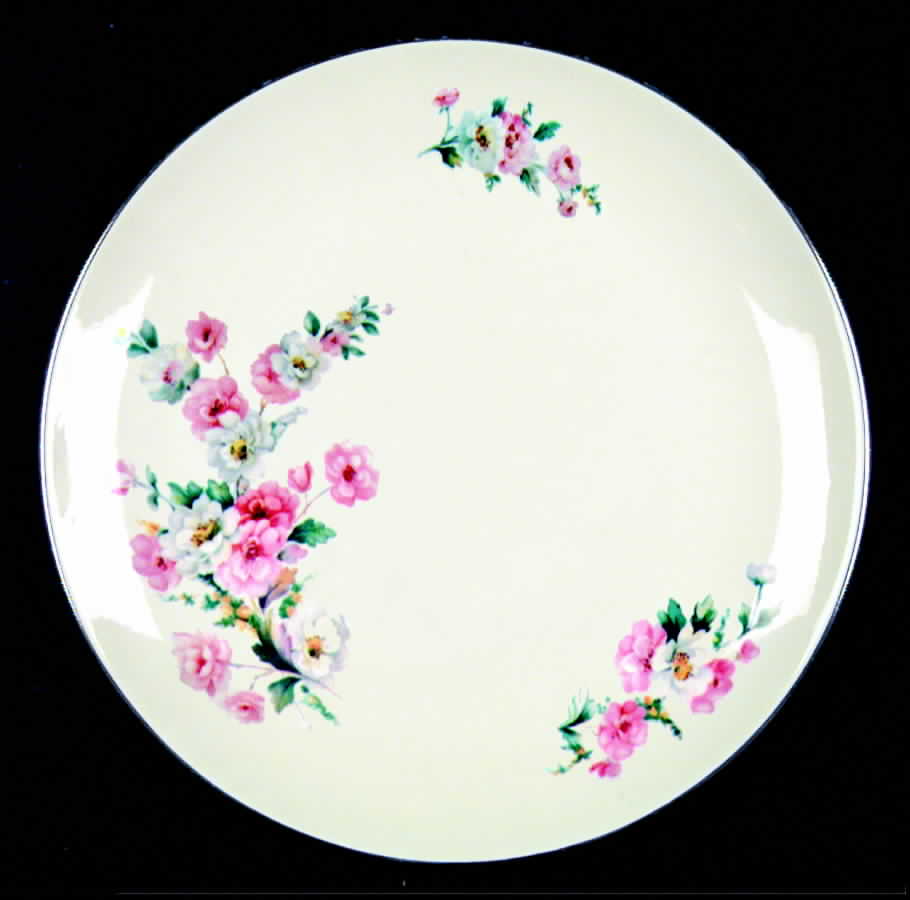 RY143 Dinner Plate by Homer Laughlin -1
