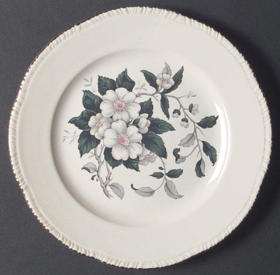 HLC631 Dinner Plate by Homer Laughlin -1