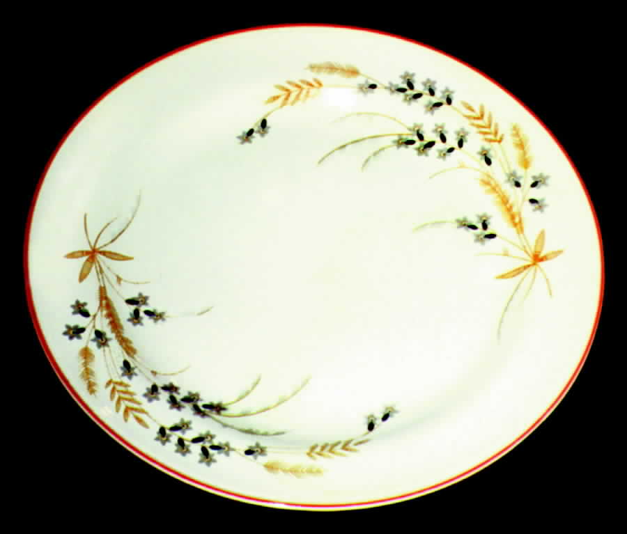 HLC635 Dinner Plate by Homer Laughlin -1
