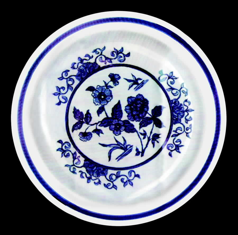 HLC642 Dinner Plate by Homer Laughlin -1