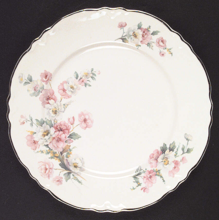 R3543 Dinner Plate by Homer Laughlin -1