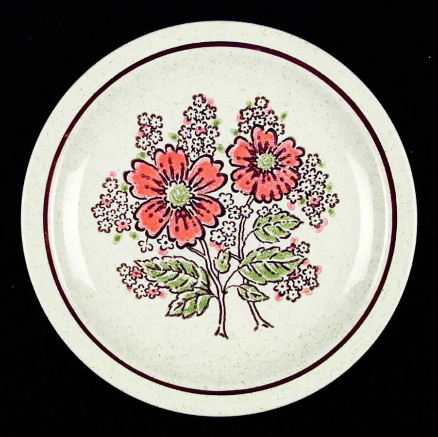 HLC653 Dinner Plate by Homer Laughlin -1