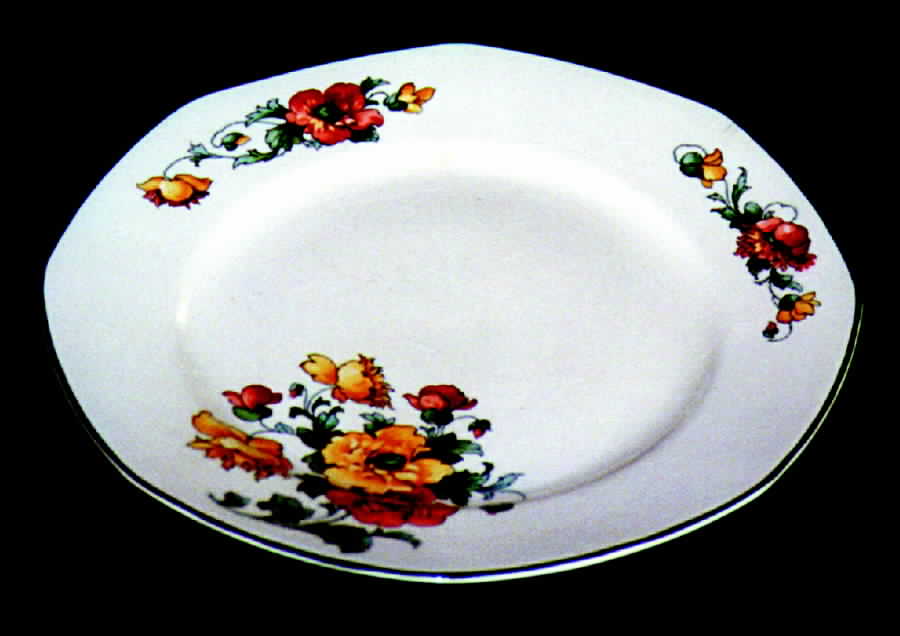 HLC657 Dinner Plate by Homer Laughlin -1