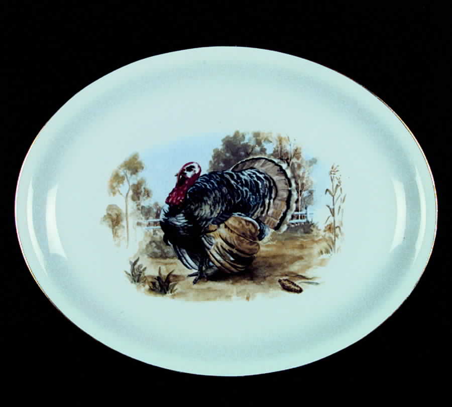 HLC663 14" Oval Serving Platter by Homer Laughlin -1