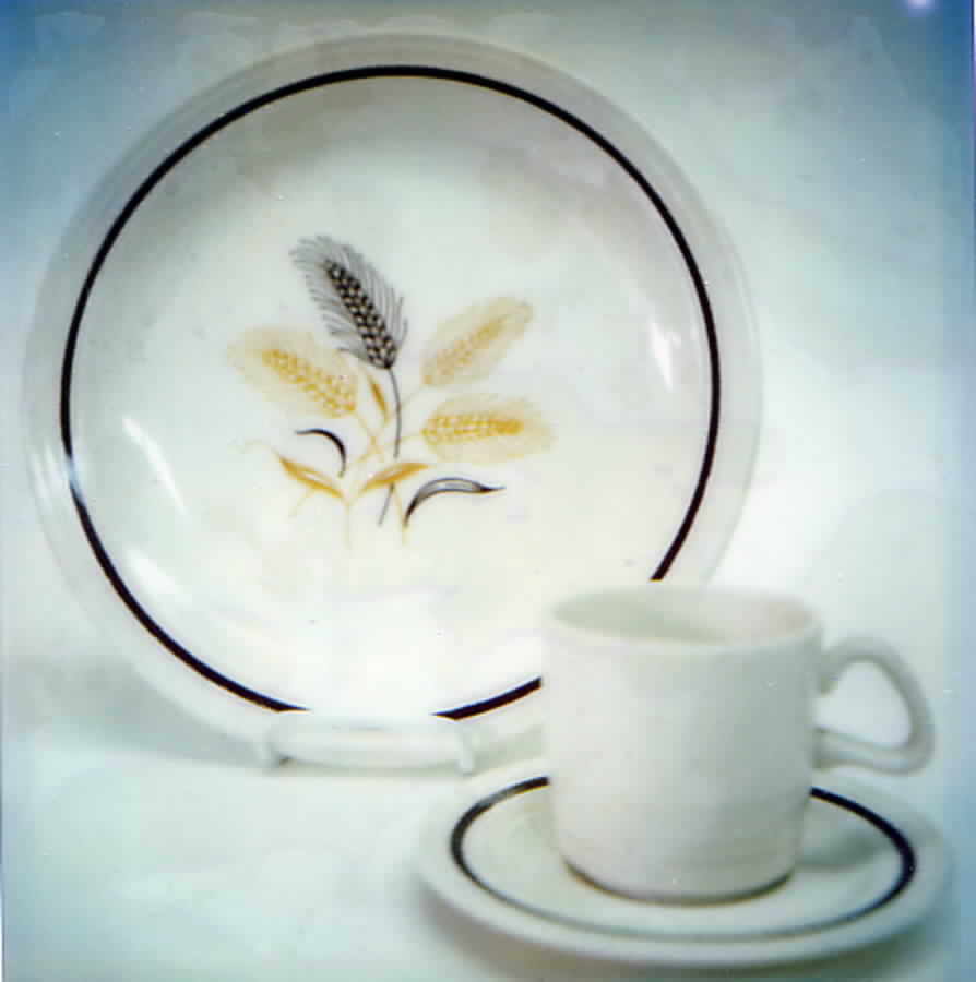 Wheat Flat Cup & Saucer Set by Homer Laughlin -1