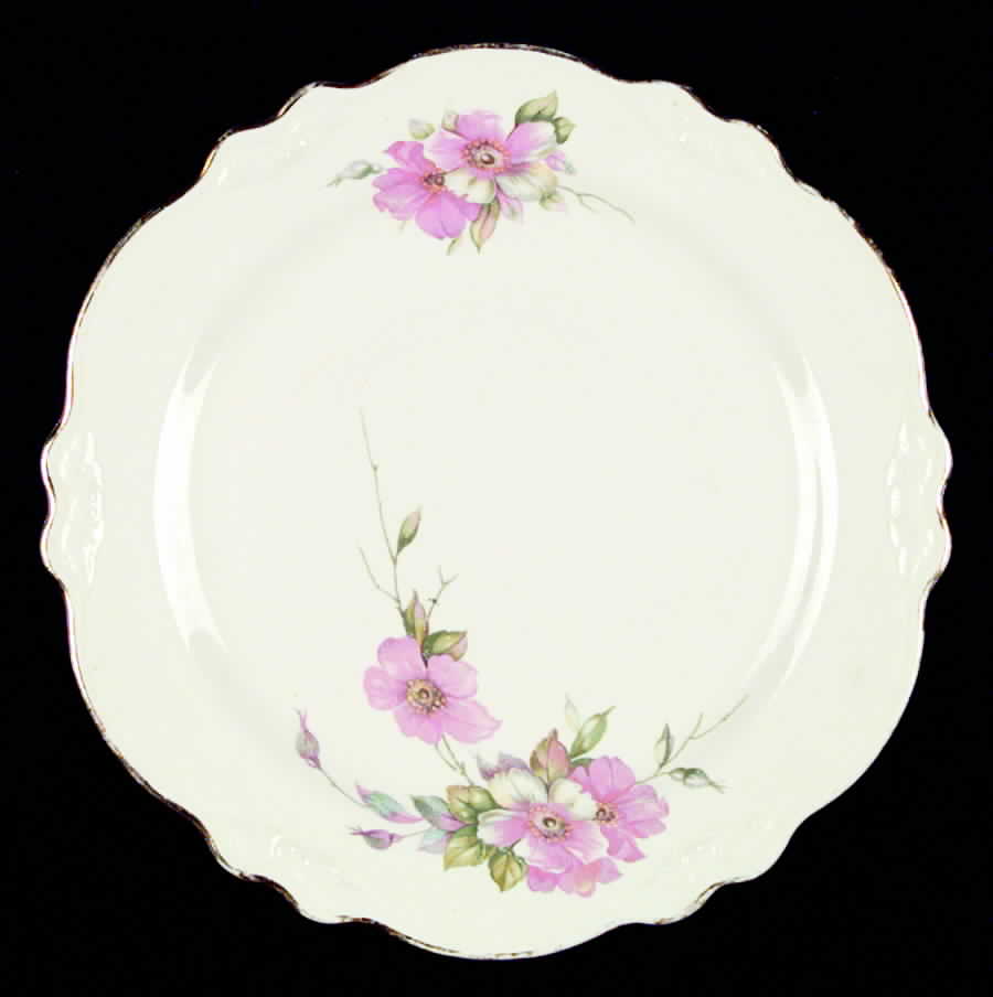 HLC675 Dinner Plate by Homer Laughlin -1