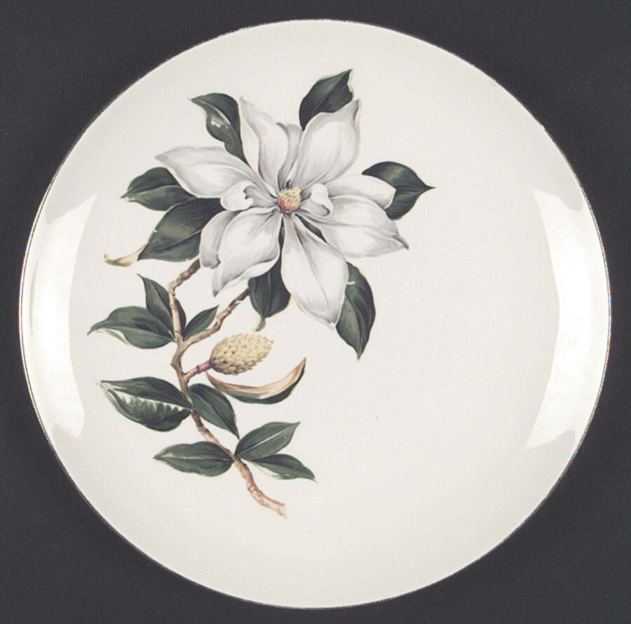 RY206 Dinner Plate by Homer Laughlin -1
