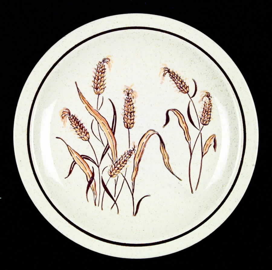 HLC678 Dinner Plate by Homer Laughlin -1