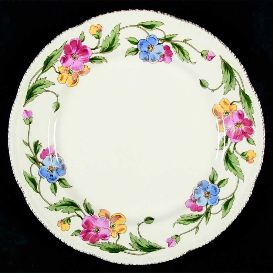 HLC680 Dinner Plate by Homer Laughlin -1