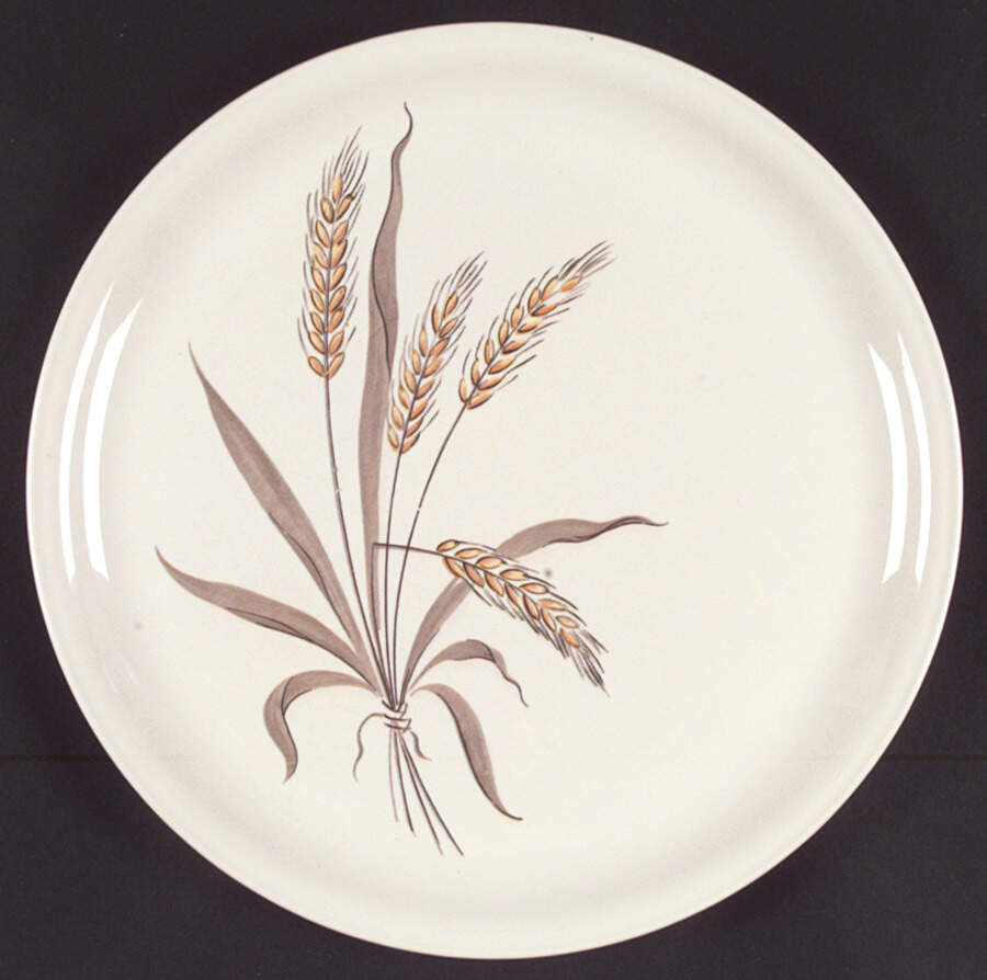 JCP131 Dinner Plate by Homer Laughlin -1