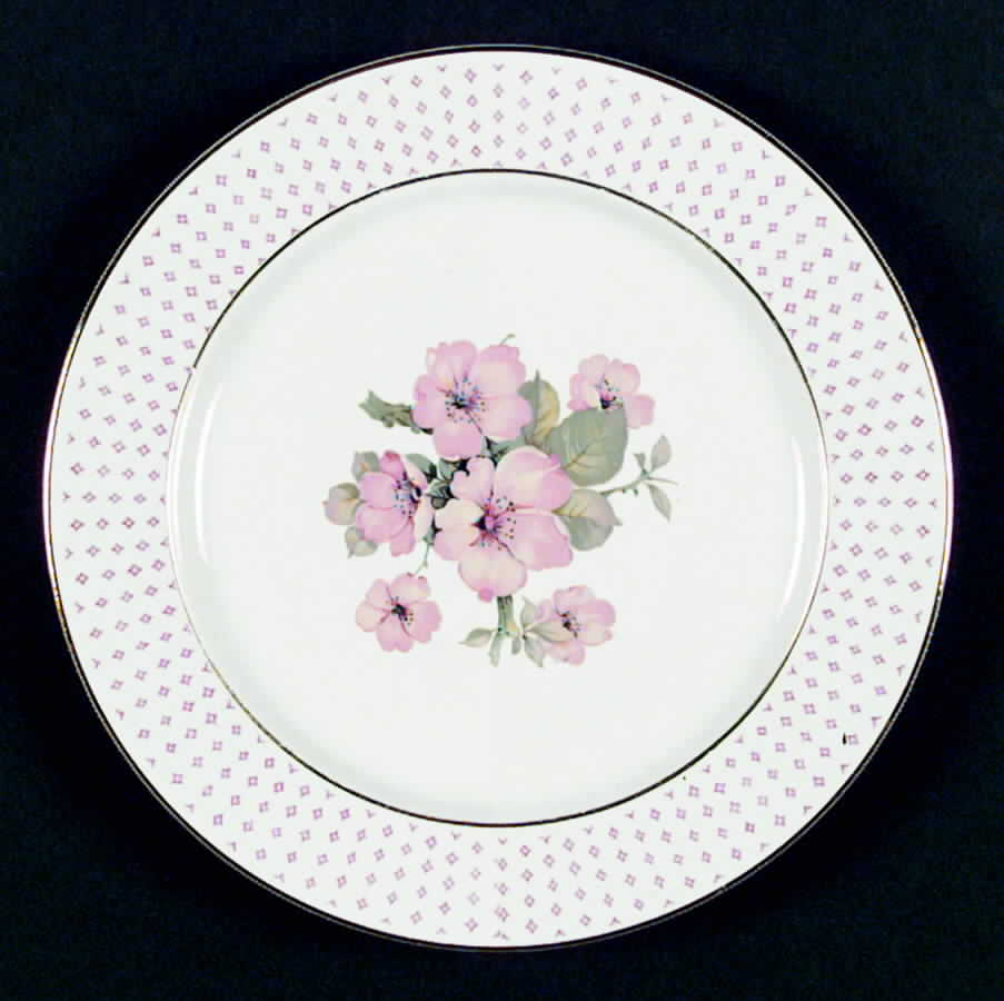 Mary Anne Dinner Plate by Homer Laughlin -1