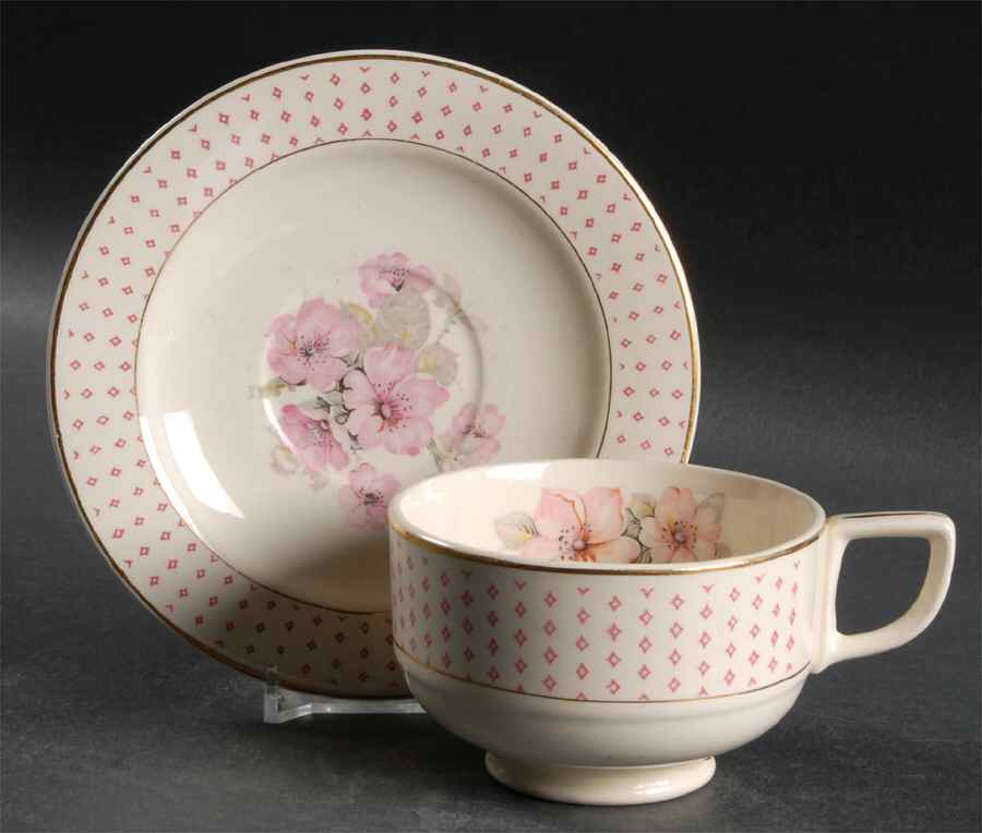 Mary Anne Footed Cup & Saucer Set by Homer Laughlin -1