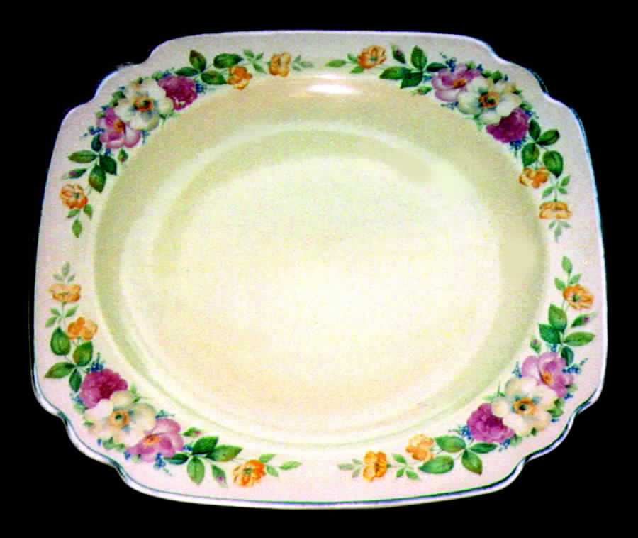 C106 Dinner Plate by Homer Laughlin -1