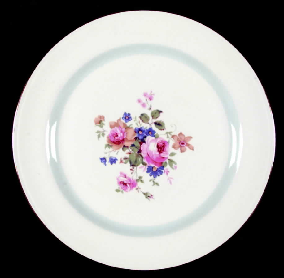 HLC81 Dinner Plate by Homer Laughlin -1