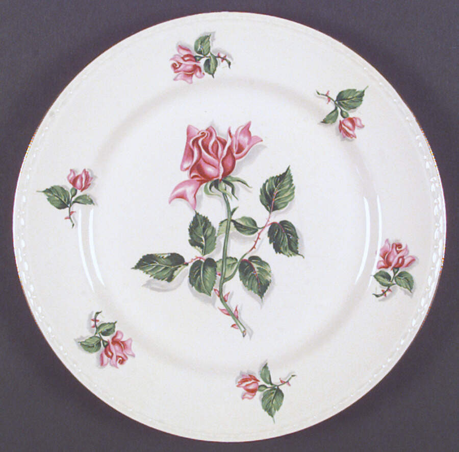 G3528 Dinner Plate by Homer Laughlin -1