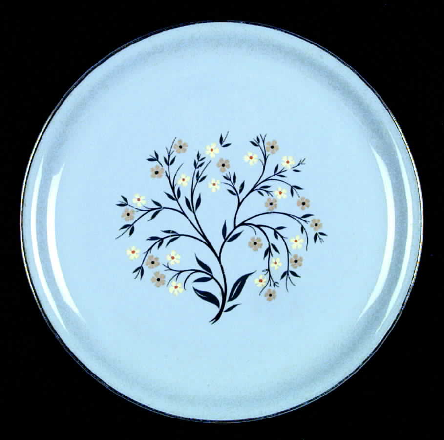 Bluemont Dinner Plate by Homer Laughlin -1