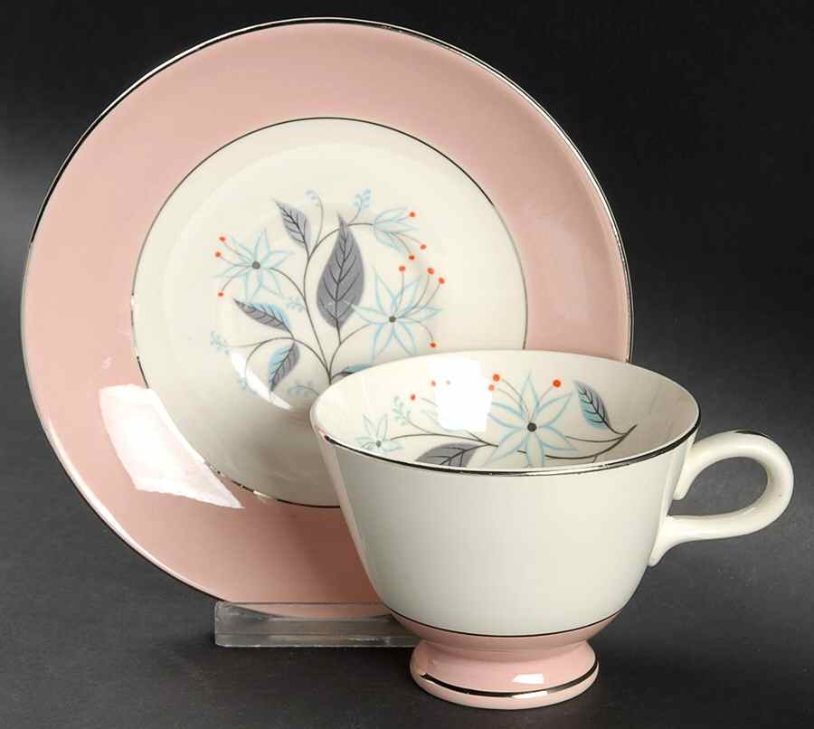 HLS301 Footed Cup & Saucer Set by Homer Laughlin -1