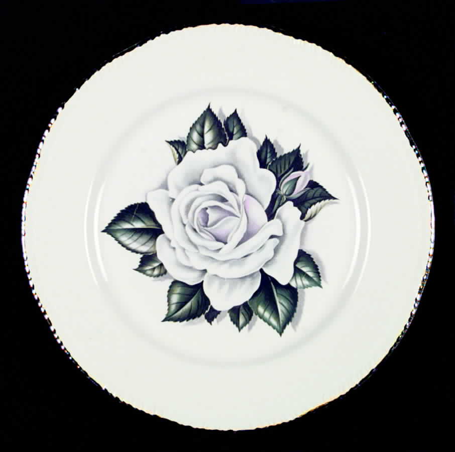 Windsor Rose Dinner Plate by Homer Laughlin -1