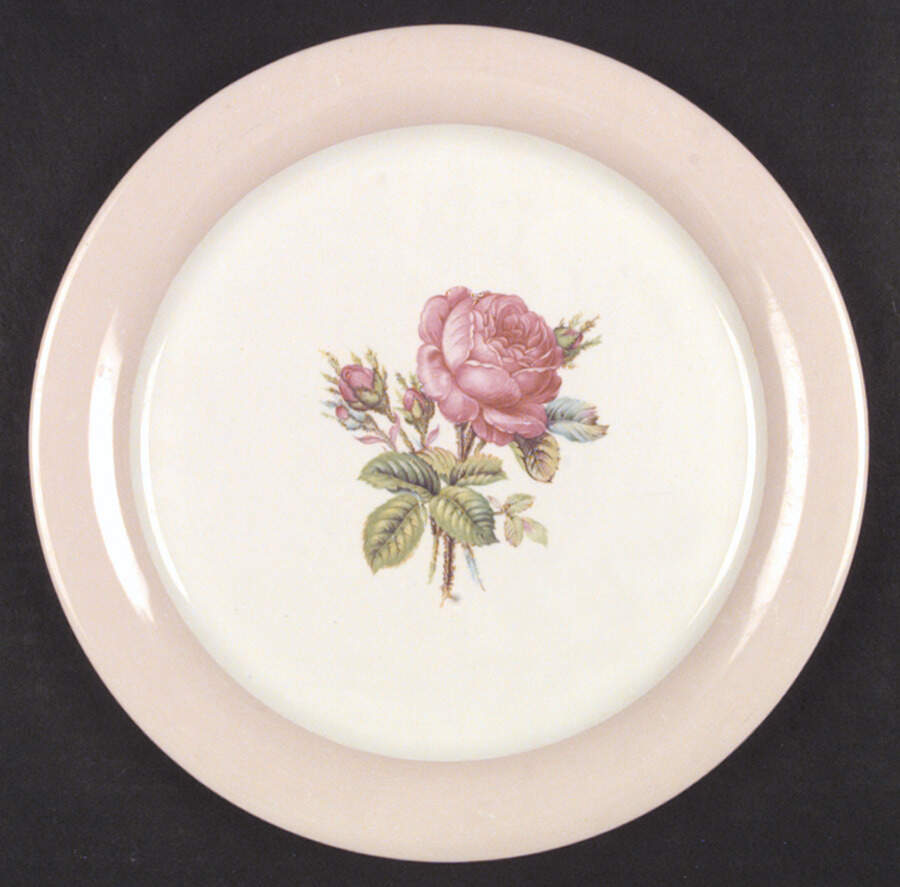 Moss Rose Dinner Plate by Homer Laughlin -1