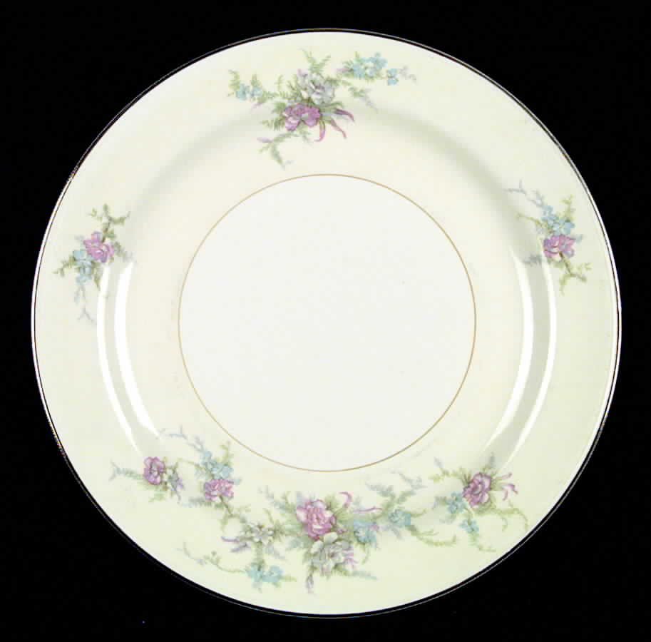 N1578 Dinner Plate by Homer Laughlin -1