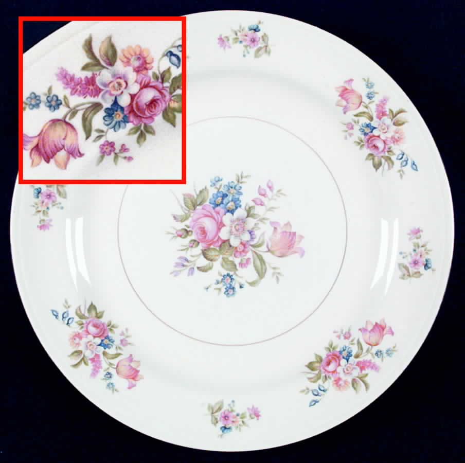 N1699 Dinner Plate by Homer Laughlin -1