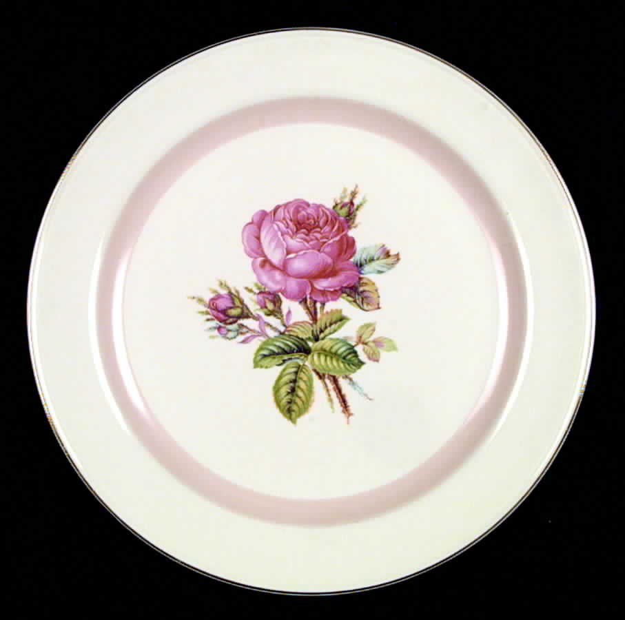 N1580 Dinner Plate by Homer Laughlin -1