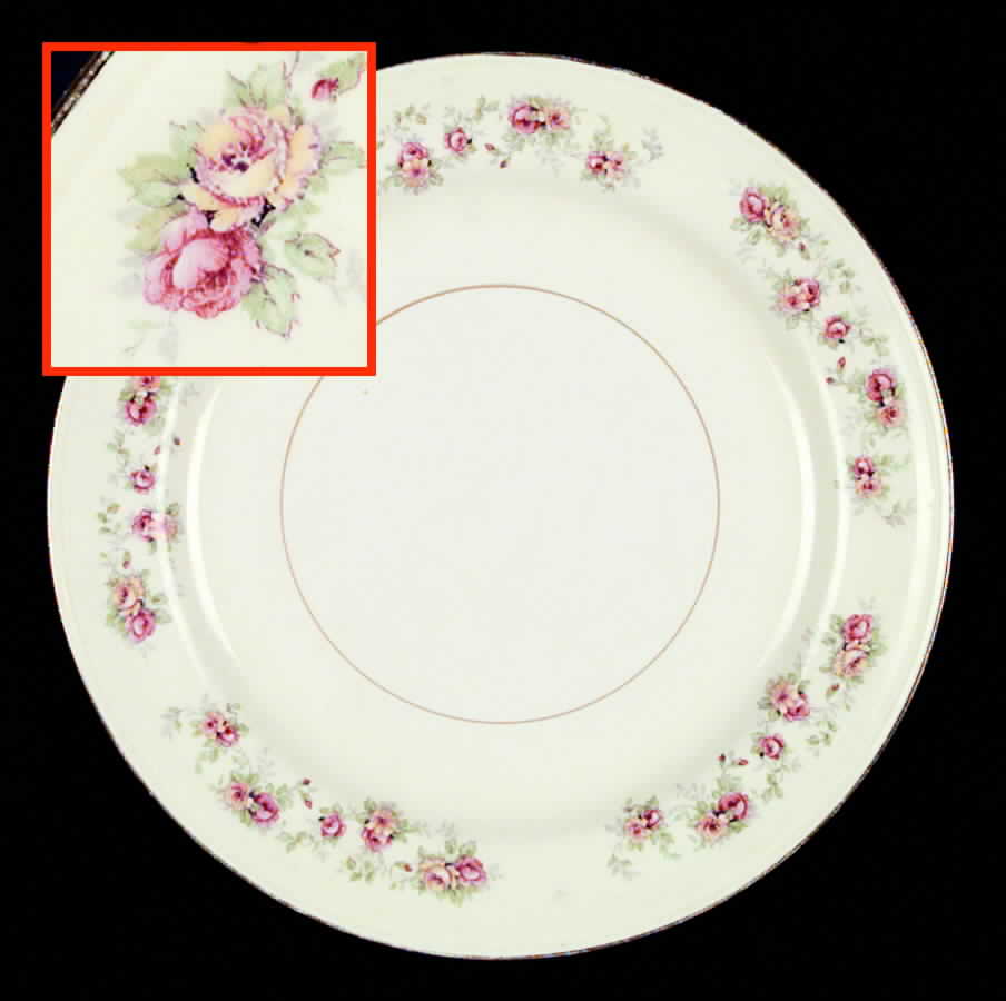 N1731 Dinner Plate by Homer Laughlin -1