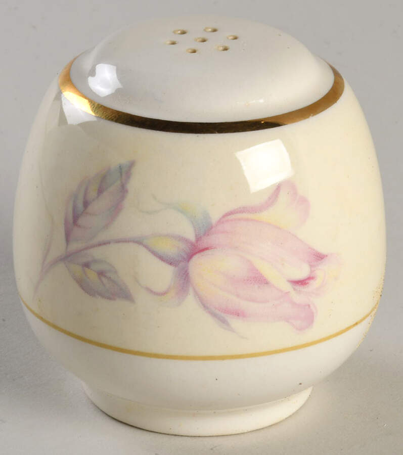 N1750 Salt Shaker by Homer Laughlin -1