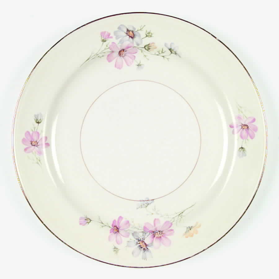 N1783 Dinner Plate by Homer Laughlin -1