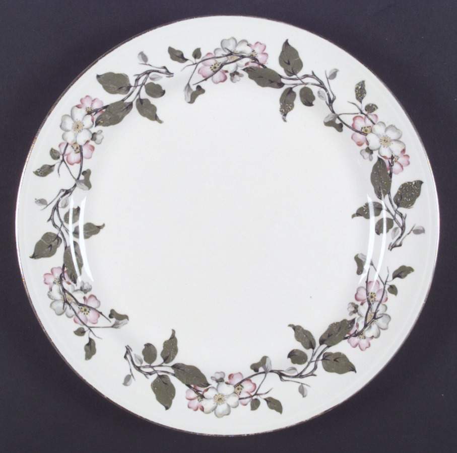 N1798 Dinner Plate by Homer Laughlin -1