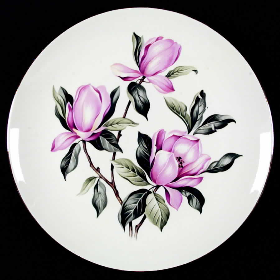 Pink Magnolia Dinner Plate by Homer Laughlin -1
