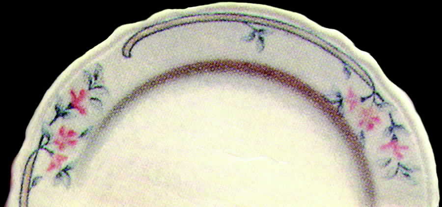 Pink Sage (Normandy) Dinner Plate by Homer Laughlin -1