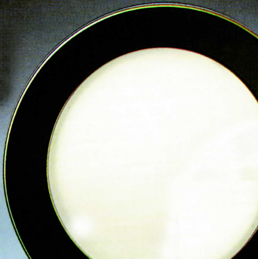 Pompano Green Dinner Plate by Homer Laughlin -1