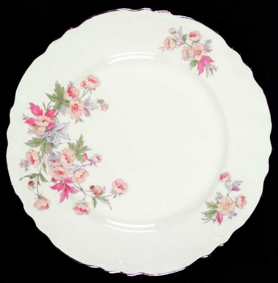 R3234 Dinner Plate by Homer Laughlin -1