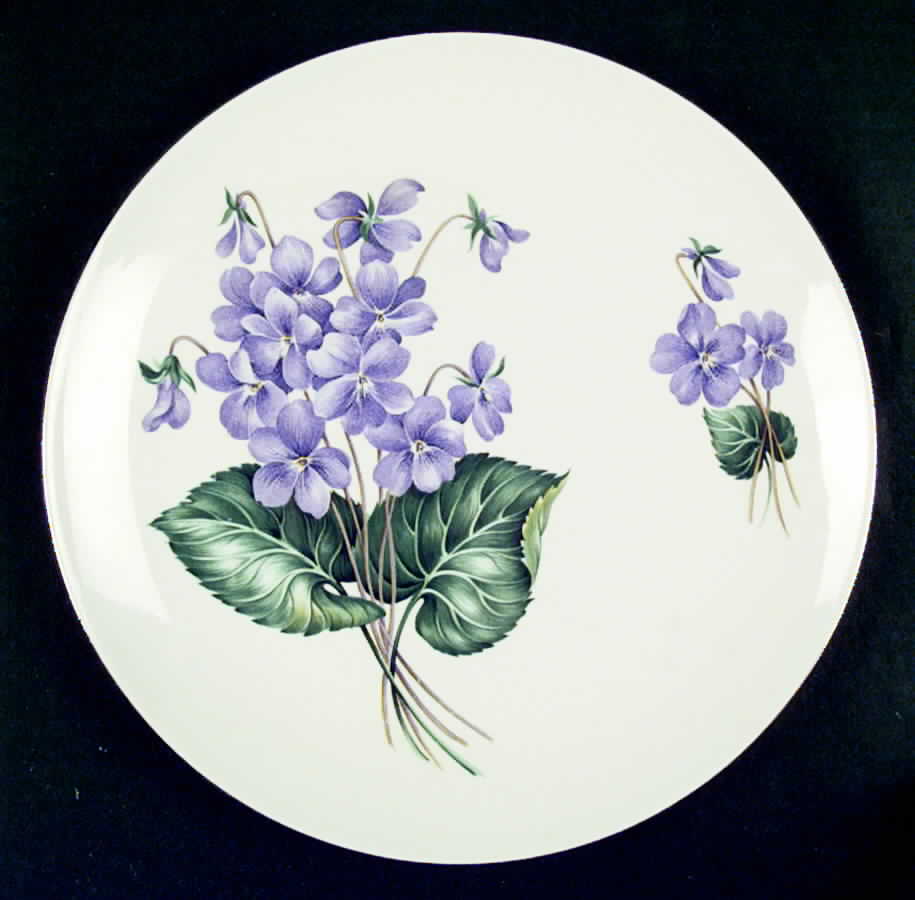 RY153 Dinner Plate by Homer Laughlin -1
