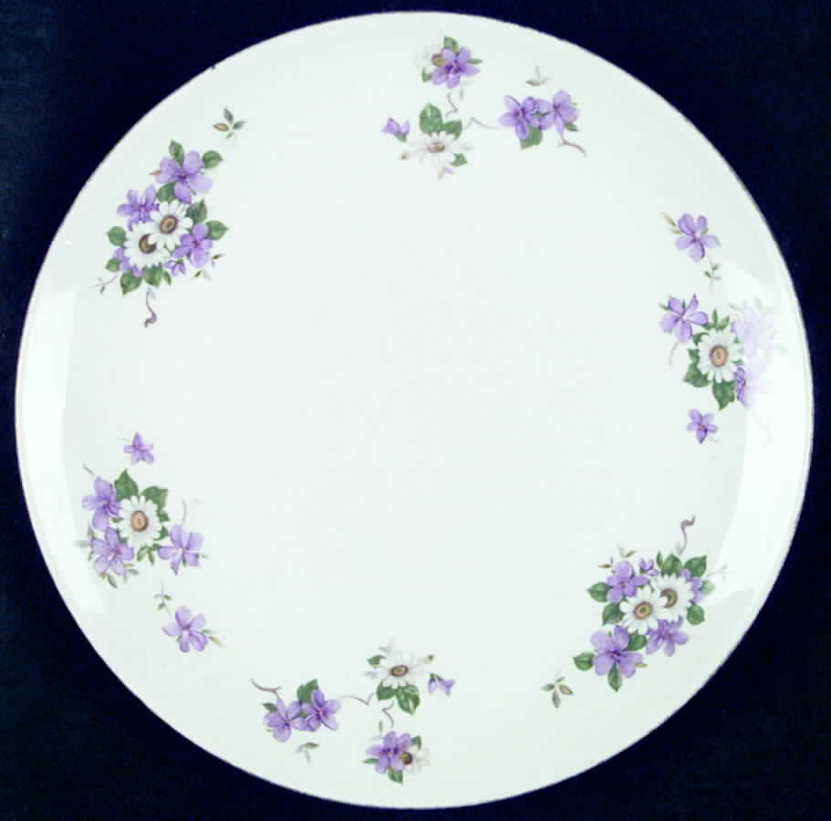 RY204 Dinner Plate by Homer Laughlin -1