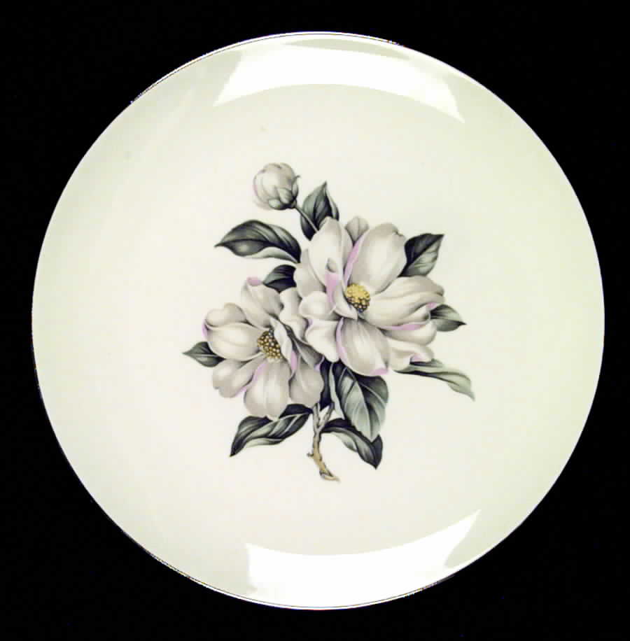 RY217 Dinner Plate by Homer Laughlin -1