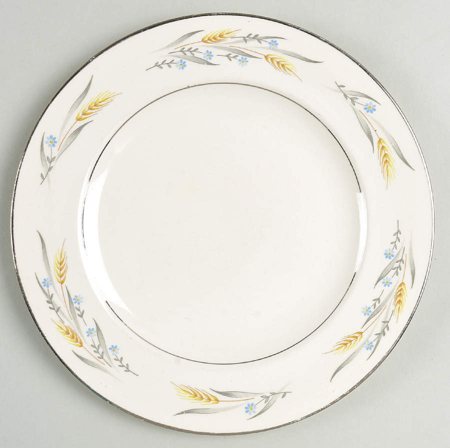 Somerset Salad Plate by Homer Laughlin -1