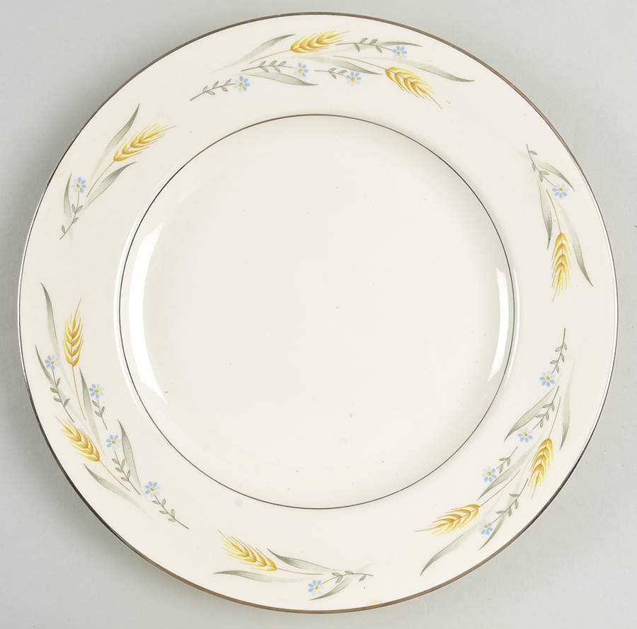 Somerset Dinner Plate by Homer Laughlin -1