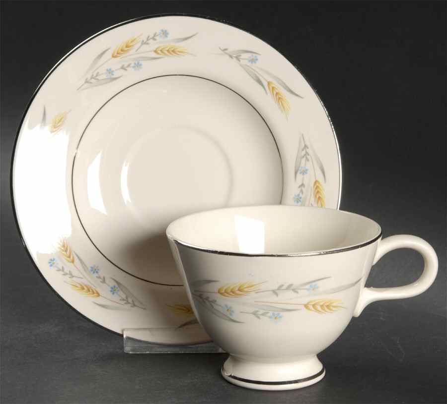 Somerset Footed Cup & Saucer Set by Homer Laughlin -1