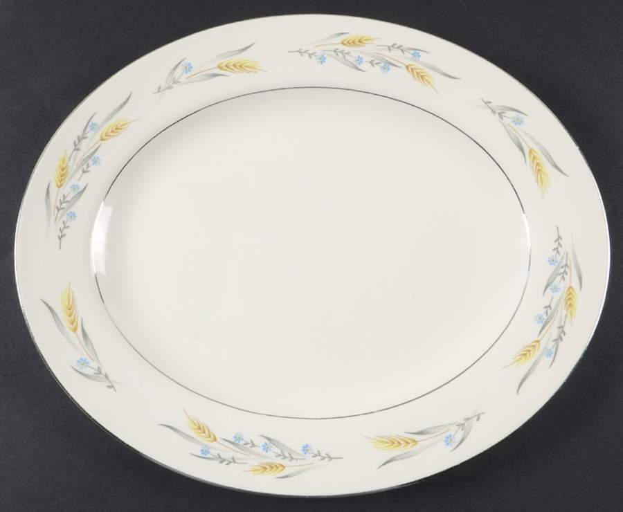 Somerset 11" Oval Serving Platter by Homer Laughlin -1