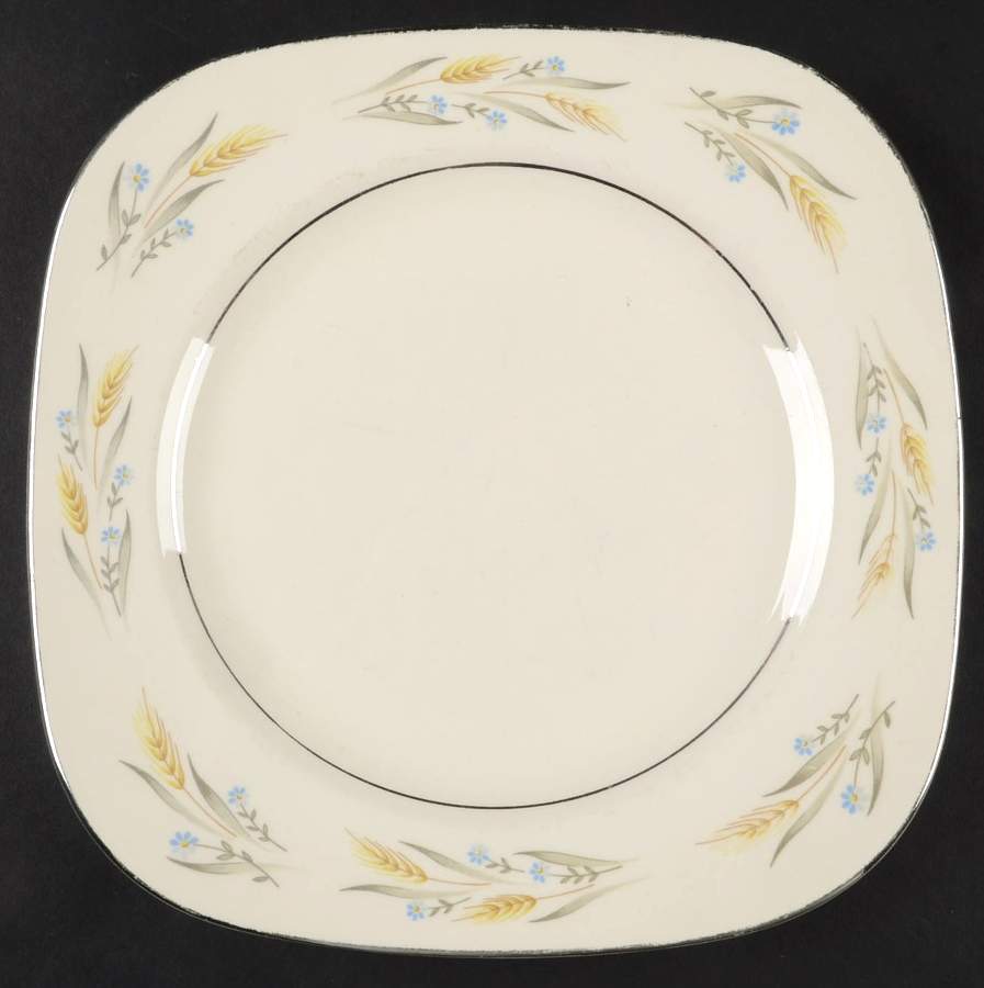 Somerset Square Salad Plate by Homer Laughlin -1
