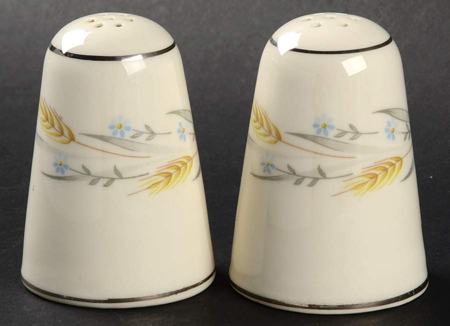 Somerset Salt & Pepper Set by Homer Laughlin -1