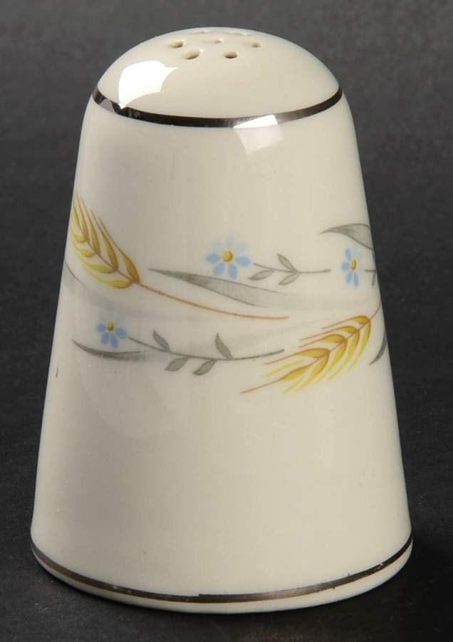Somerset Salt Shaker by Homer Laughlin -1