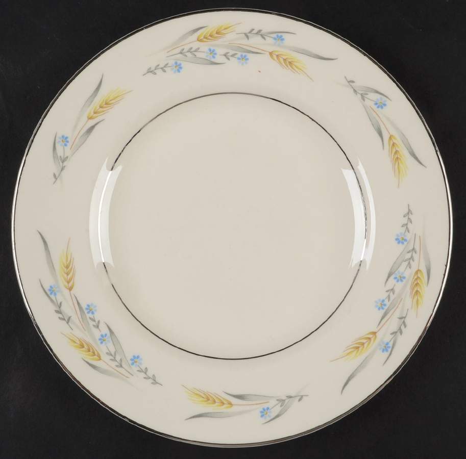 Somerset Dessert/Pie Plate by Homer Laughlin -1