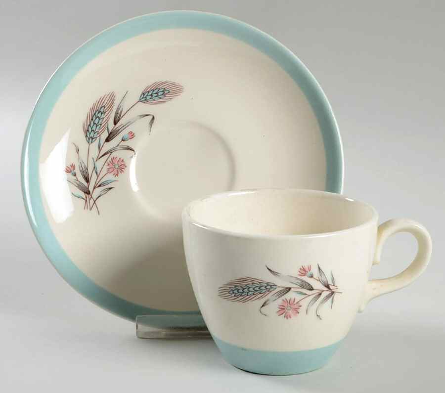 Spring Garden (Band Edge) Flat Cup & Saucer Set by Homer Laughlin -1