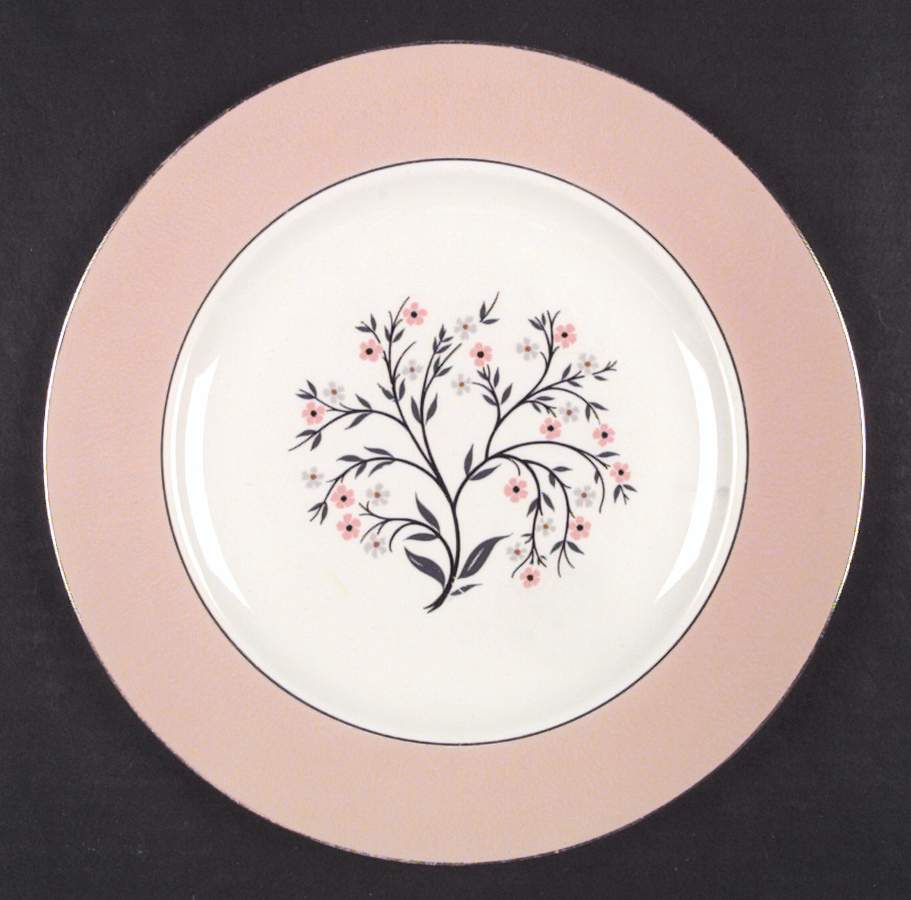 Springtime (Pink Rim, CV32) Dinner Plate by Homer Laughlin -1